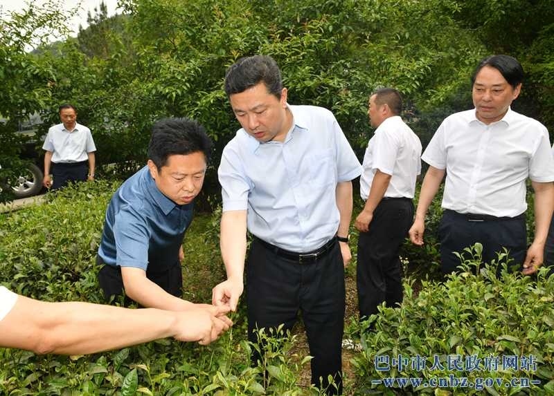 罗增斌到通江县调研督导脱贫攻坚、产业发展工作