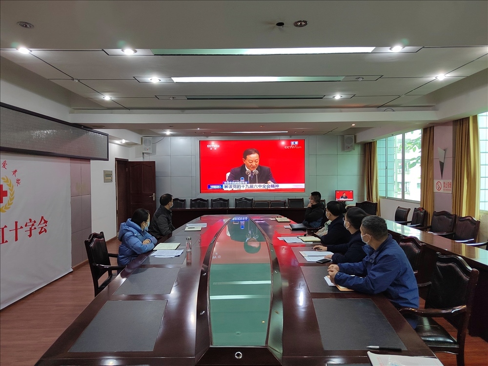 市红十字会集中组织收看十九届六中全会新闻发布会