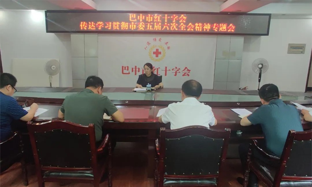 市红十字会传达学习贯彻市委五届六次全会精神
